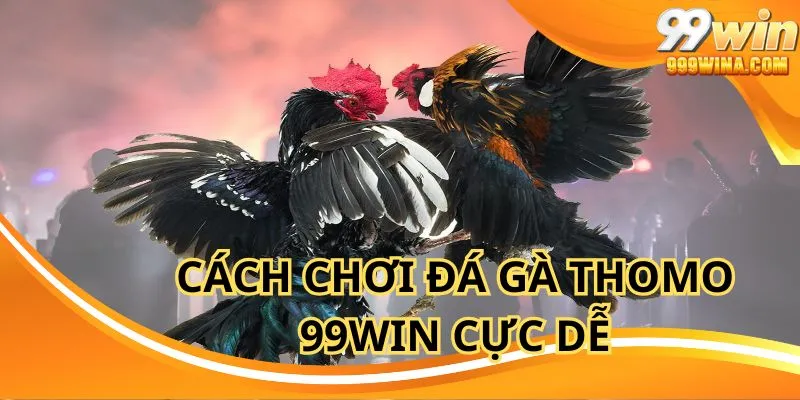 Cần tìm hiểu cách chơi đá gà thomo 99win khi tham gia