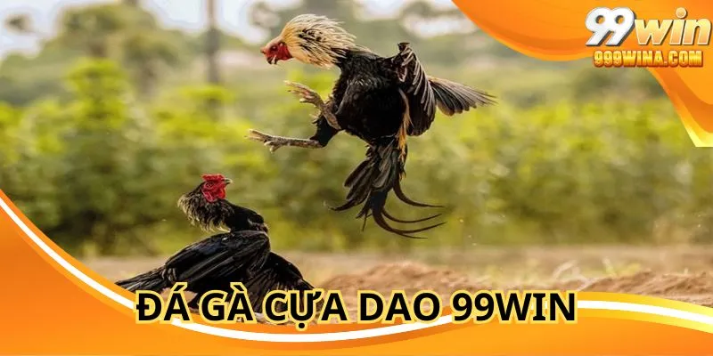Đá Gà Cựa Dao 99WIN Với Màn So Tài Gay Cấn Và Mãn Nhãn