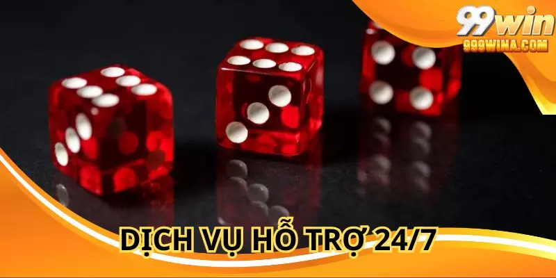 Dịch vụ hỗ trợ 24/7 bất kể lúc nào