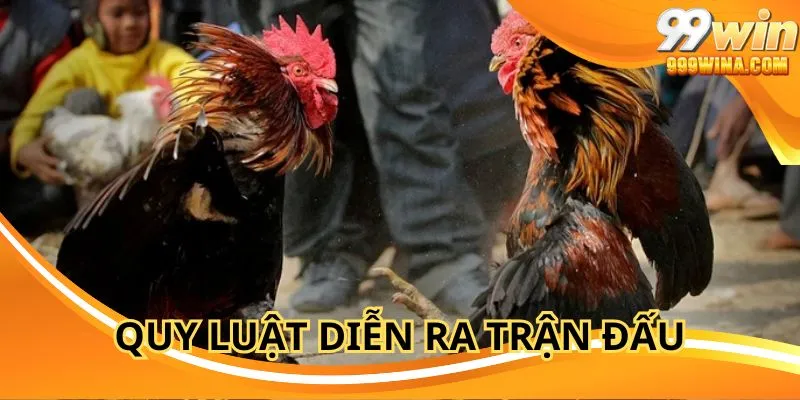 Thời gian đá gà cựa dao 99WIN diễn ra nhanh gọn